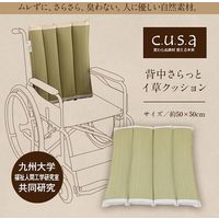 イケヒコ 背中さらっとクッション 500×500mm 1360040010101 1個（直送品）