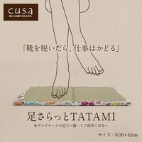 イケヒコ 足さらっとTATAMI 300×420mm 1360190010101 1枚（直送品）