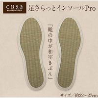 イケヒコ・コーポレーション 足さらっとインソールPro 25cm 1360100010501 1枚（直送品）