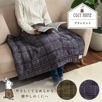 イケヒコ・コーポレーション カリス ひざ掛け BR 70×100cm 1220910061401 1枚（直送品）