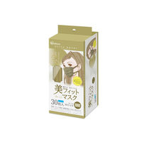 アイリスオーヤマ 美フィットマスク ふつう 30枚入 オリーブカーキ PK-BFC30MOK 1箱(30枚入)