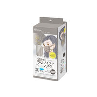 アイリスオーヤマ 美フィットマスク ふつう 30枚入 アッシュグレー PK-BFC30MAG 1箱(30枚入)