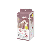 アイリスオーヤマ 美フィットマスク ふつう 30枚入 ローズグレー PK-BFC30MRG 1箱(30枚入)