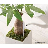 キャビノチェ 水やりチェッカー(SUSTEE) L グリーン 4-1456-06 1セット(5個)