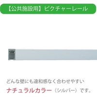 【公共施設用】 TOSO T-1_2m_S_NAT ピクチャ―レール_2m_正面付け セット<ナチュラル> 1セット（直送品）