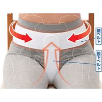 イザヴェル 骨盤底筋ベルト モレナレディ 1枚 L a2670503 1個