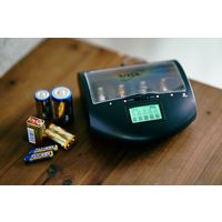 ファミリー・ライフ 乾電池充電器 マルチ・チャージャーV2 a26923 1個