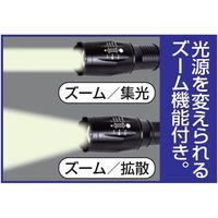 デジタルランド LEDズームライト 3本組 a26894 1セット(3本組)