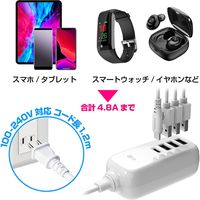 カシムラ ACUSB-3A+C-24W 1.2mリバーシブル自動識別 AC-024 1個