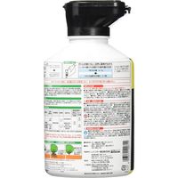 レインボー薬品 ネコソギWクイック粒剤 600g 4903471100711 1個