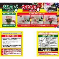 レインボー薬品 レインボーフラワーWアンプル 30ml×10P 4903471101770 1個（直送品）