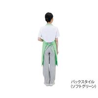 ワコウ 抗ウイルスエプロン Dr.EarthR 首掛け オレンジ E3500-6 1枚 7-779-04（直送品）