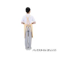 ワコウ 抗ウイルスエプロン Dr.EarthR たすき掛け ソフトグリーン E3500-2T 1枚 7-780-03（直送品）