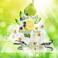 ソフティモ ナチュサボン セレクトホワイトウォッシングクリーム 130g　ボタニカル 泡洗顔　コーセーコスメポート