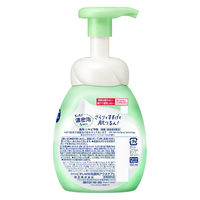 花王 ビオレ マシュマロホイップ 薬用アクネケア 本体 150ml