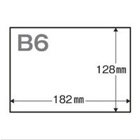 アスクル領収証用紙 B6 白色 無地 1箱（1000枚入）  オリジナル（わけあり品）