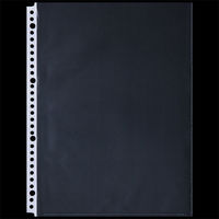 アスクル　リング式ファイル用ポケット　A4タテ　30穴　丈夫な穴で30枚収容　1袋(100枚)  オリジナル（わけあり品）