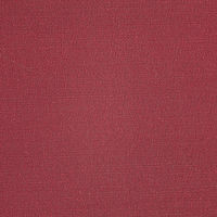 ナカバヤシ 証書ファイルCタイプ クロス A4 エンジ FSH-A4C-R 1冊