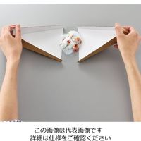 アズワン ディスポちりとり dustpan 1袋（40枚） 7-1338-01ナビスカタログ