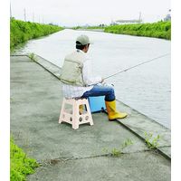 【踏み台】 トレードワン ホワイトセノ・ビーのっぽ君 39cm 10160 1台