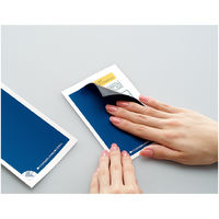 コクヨ はがき目隠しラベル 地紋印刷あり A4 4面(ハガ KJ-SHB104-5N 1袋