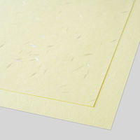 大直 大礼紙 イエロー A4 20枚入 206040402 1パック(20枚入)