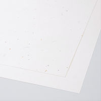 大直 大礼紙 金銀砂子 A3 20枚入 206070190 1パック(20枚入)