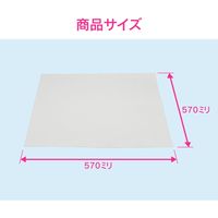 カクダイ GAONA GA-KW036 エアコンフィルター 570×570 1セット(2枚)