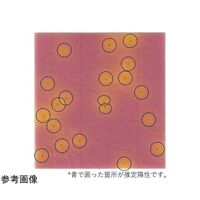 JNC MCーMedia Pad EB 腸内細菌科菌群用 25枚×4袋入 SK07B25 1箱(100枚) 69-3152-09（直送品）