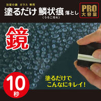 建築の友 鏡のらくらく鱗状痕落としプロ 80ml KR-80 1セット（直送品）