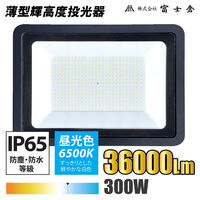 富士倉 300W薄型輝高度投光器 AS-300N 1個（直送品）