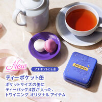 （数量限定）片岡物産 トワイニング ティーポケット缶 ウィンター 1缶(4バッグ入)