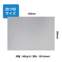 エヒメ紙工 チップボール紙4切50枚 CB4S-50P 1冊（直送品）