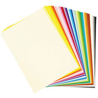 エヒメ紙工 天糊50色色画用紙 B4 NEI-50-50 1セット(1冊×10)（直送品）