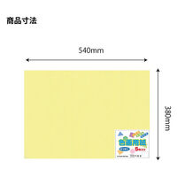 エヒメ紙工 色画用紙 四切クリーム YIG4-C 1セット(1冊×10)（直送品）