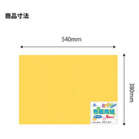 エヒメ紙工 色画用紙 四切きいろ YIG4-Y 1セット(1冊×10)（直送品）