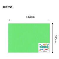 エヒメ紙工 色画用紙 四切きみどり YIG4-YG 1セット(1冊×10)（直送品）