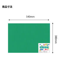エヒメ紙工 色画用紙 四切みどり YIG4-GR 1セット(1冊×10)（直送品）