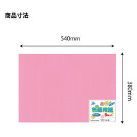 エヒメ紙工 色画用紙 四切うすもも YIG4-LP 1セット(1冊×10)（直送品）