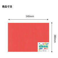 エヒメ紙工 色画用紙 四切だいだい YIG4-O 1セット(1冊×10)（直送品）