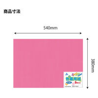 エヒメ紙工 色画用紙 四切もも YIG4-P 1セット(1冊×10)（直送品）