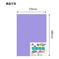 エヒメ紙工 色画用紙 八切ふじむらさき YIG8-LPU 1セット(1冊×10)（直送品）