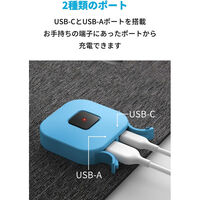 Anker Solix PS30 ソーラーパネル A24260A1 1台（直送品）
