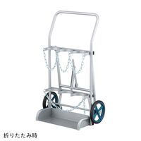 アズワン 酸素ボンベ運搬車 1500L用/3本 3-456-03 1個（直送品）