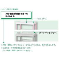 アズワン 【組立済み】モバイルイージーカート 2段 645×444×760 グレー 3-6495-02-86 1個（直送品）