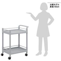 アズワン モバイルストレージカート(ガード枠・ハンドル付き) 2段 705×444×860 3-6496-03-86 1個（直送品）