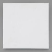 アズワン PTFEシート 200×200×30mm 20030 4-2536-10 1枚（直送品）