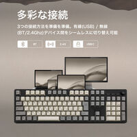 プリンストン フルサイズワイヤレスメカニカルキーボード IK-CD108HBPLS-O/CY 1台（直送品）