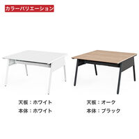【軒先渡し】ITOKI イトーキ サリダYFSデスク 片面タイプ 2連 棚付き 幅2400×奥行620×高さ1400mm ホワイト 1台（直送品）
