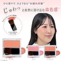 ORBIS（オルビス） ナチュラルフィットチーク （ケース入り、ブラシ1本付） ソフトレッド